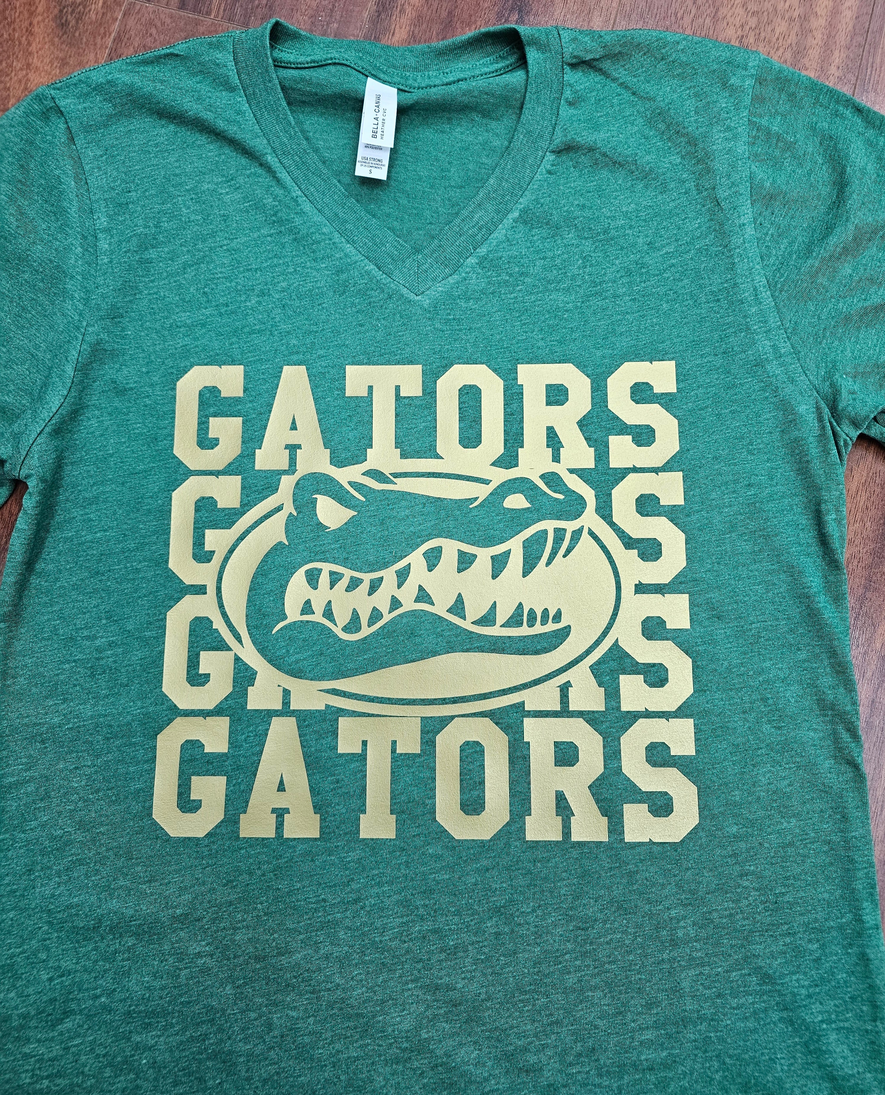 School Spirit Tee Bella V-Neck